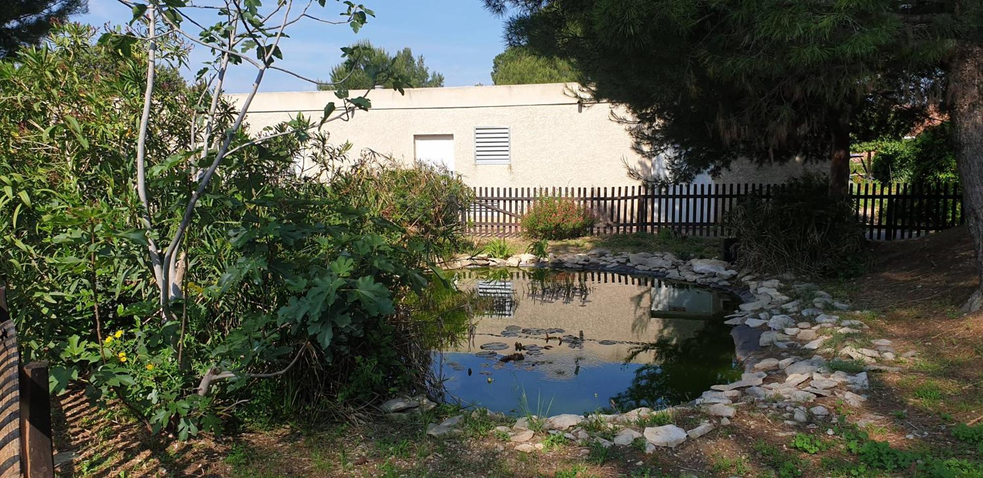 Maison"La Cigale Du Sud" Калвисон Екстериор снимка